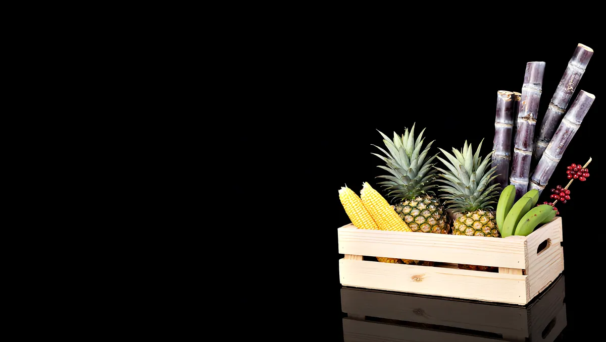 A timber crate of pineapples, green matooke, sweet maize, red coffee cherries and purple sugarcane, lit against black