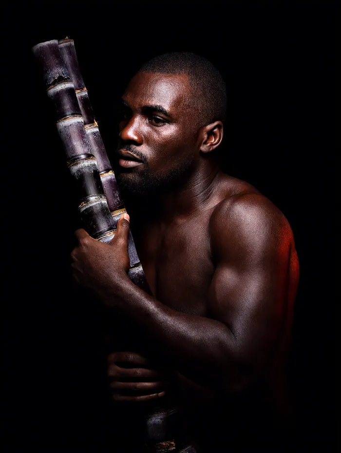 A Ugandan grower holding a tall stalk of purple-banded chewing sugarcane against his shoulder, lit against black